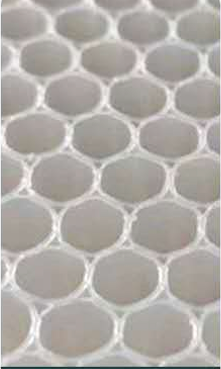 Polypropylene (PP) Honeycomb