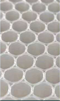Polypropylene (PP) Honeycomb