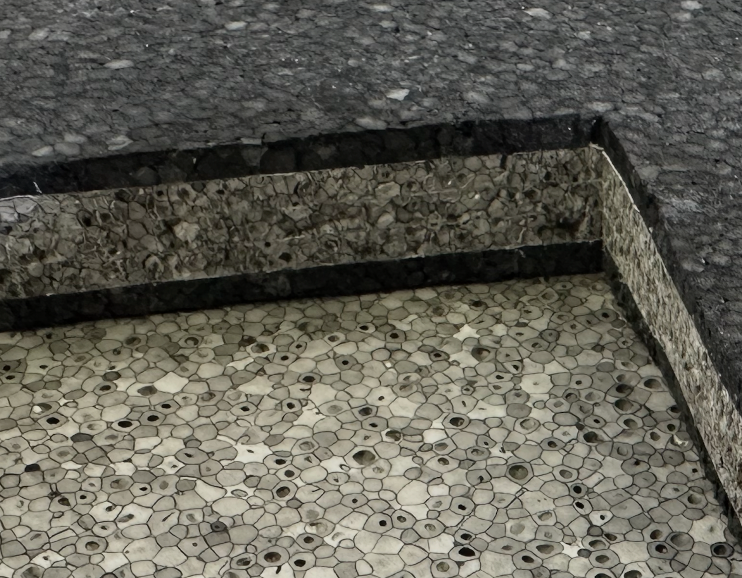 EPP Foam